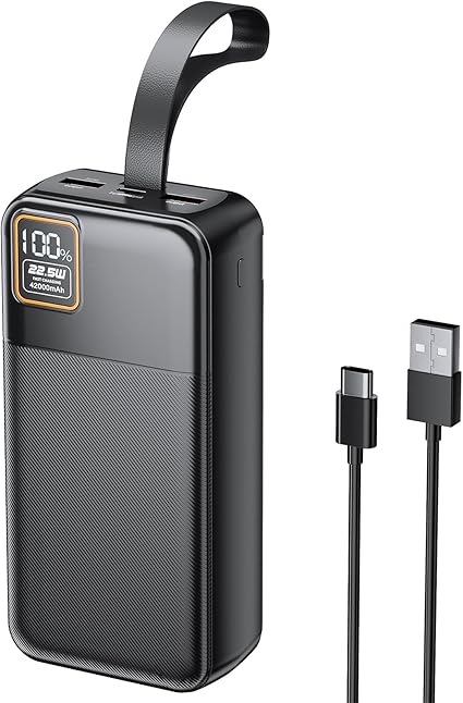 Large portable charger